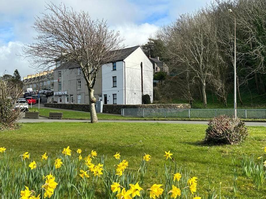 Caernarfon Modern Townhouse Snowdonia Villa Bagian luar foto